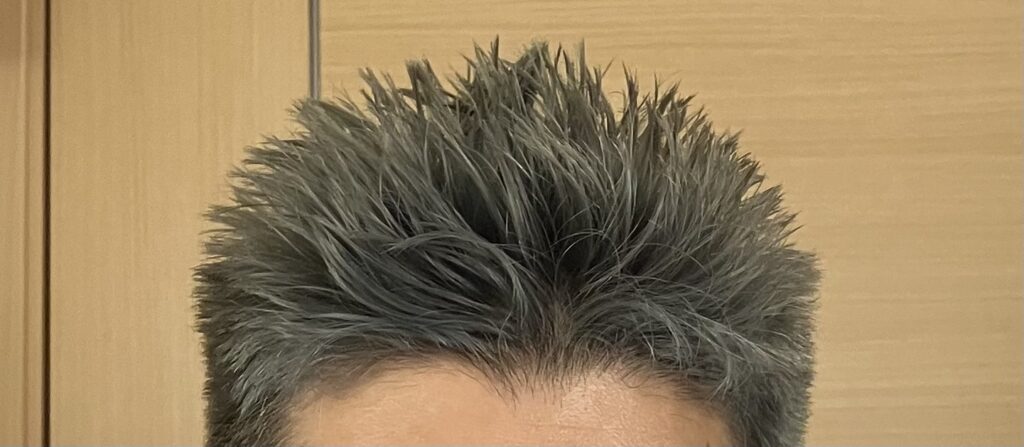 19日目の髪色。青みがかったグレーに見える短髪スタイル。
